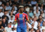 开云APP-关于南安普顿主场击败逆转热刺，保级希望明显提升的信息