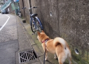 开云体育app-黄蜂轻取马刺背后，戈贝尔，那个决定比赛天平的无名砝码