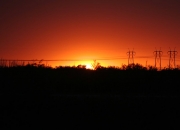 开云体育登录-约基奇式智慧篮球降临CBA？吉林队用丹佛魔法强压凯尔特人式豪门