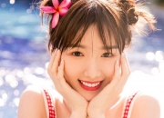 开云体育登录-逆转之夜，一只狐狸如何撕碎众神的剧本