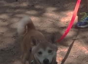 开云平台-双线对决，库里50分神迹与76人铁血碾压，现代篮球的双面镜