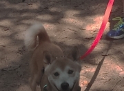 开云平台-双线对决，库里50分神迹与76人铁血碾压，现代篮球的双面镜