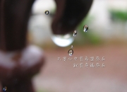 开云官网-芬兰韧性与西班牙魔力，欧洲足球的两个迷人切面