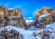 开云平台-暗夜猎手，米切尔奇袭战术如何瓦解浙江不败金身？