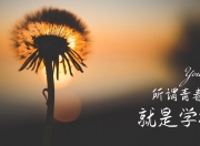 开云sport-克瓦拉茨赫利亚独舞破局，沙特豪门碾压雷恩，一场预示亚洲足球新纪元的降维打击