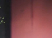 开云体育入口-唯一之战，当东北虎遇上新奥尔良风暴，福克斯用完美演出书写跨洋传奇