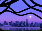 开云体育官网-封神夜，特奥如何用一场比赛撕碎所有质疑与时代烙印