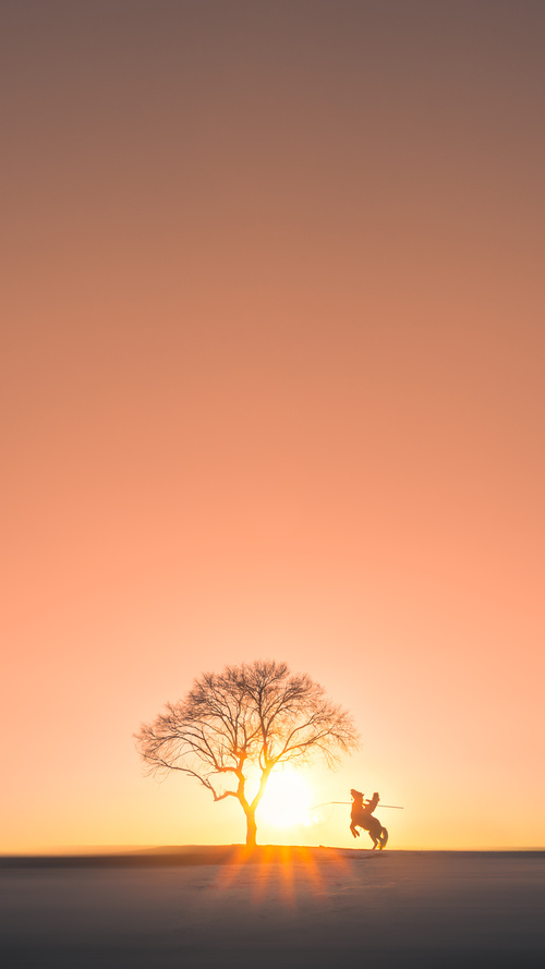 霍勒迪统治级数据接管比赛，热火客场爆冷掀翻猛龙
