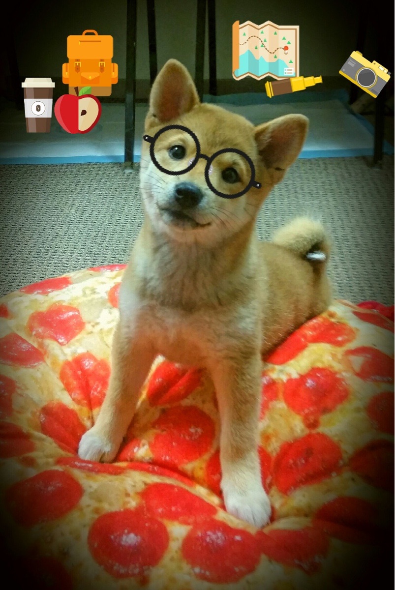 霍勒迪统治级数据接管比赛，热火客场爆冷掀翻猛龙