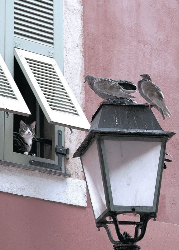 一步之遥与一步之遥，卡塞米罗的2.3公里