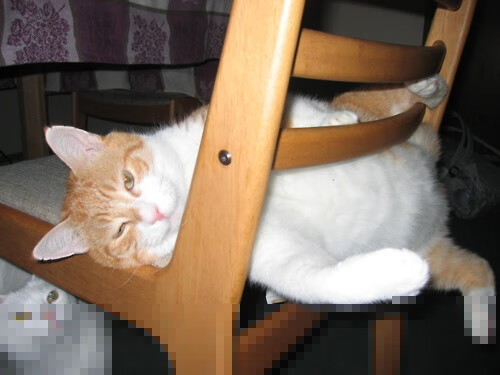 恩佐孤星闪耀时，当洪都拉斯的惊雷劈开马德里竞技的铁幕