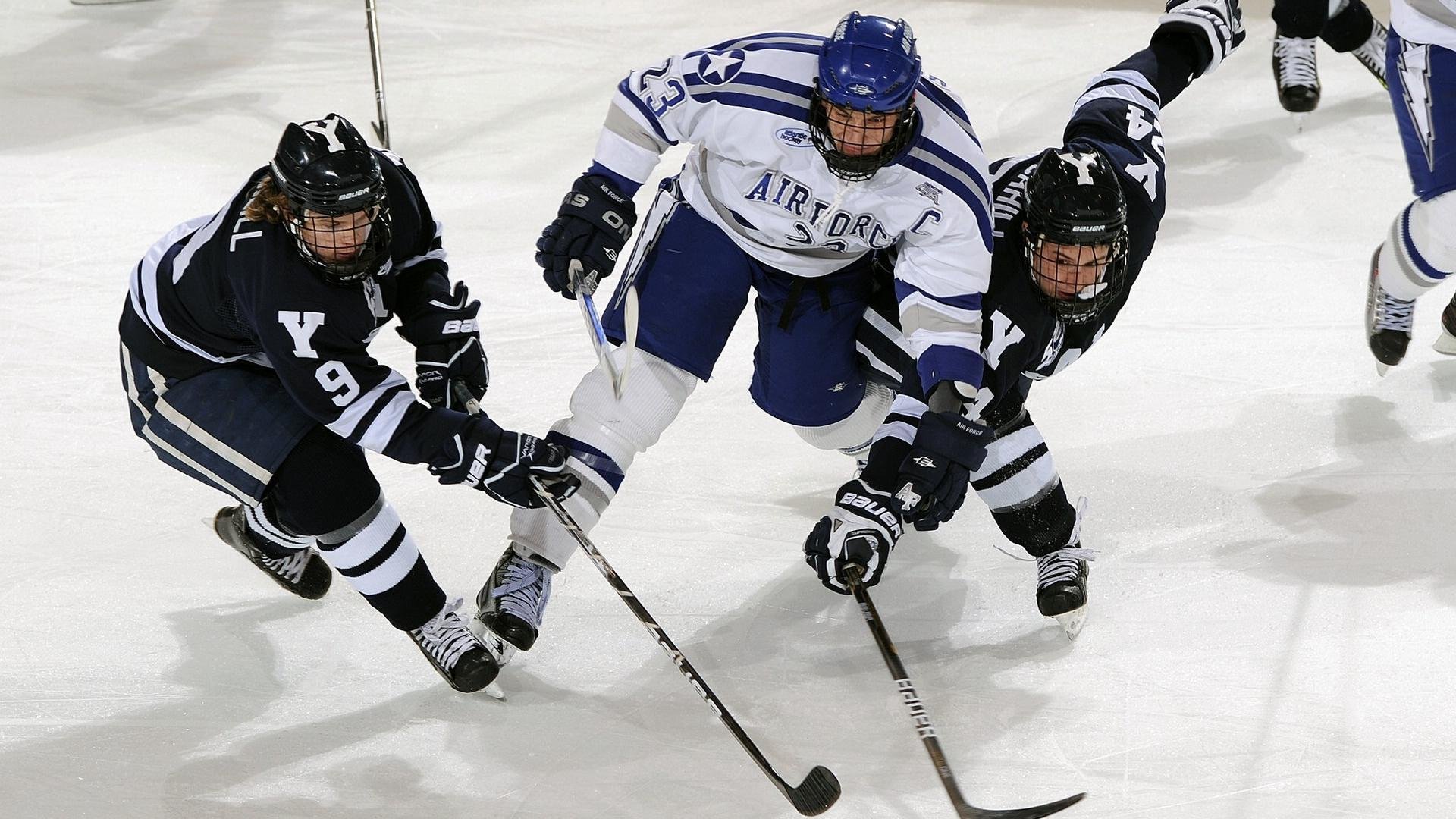 蜂群吞噬高原，当福将福克斯解开胜利的密码