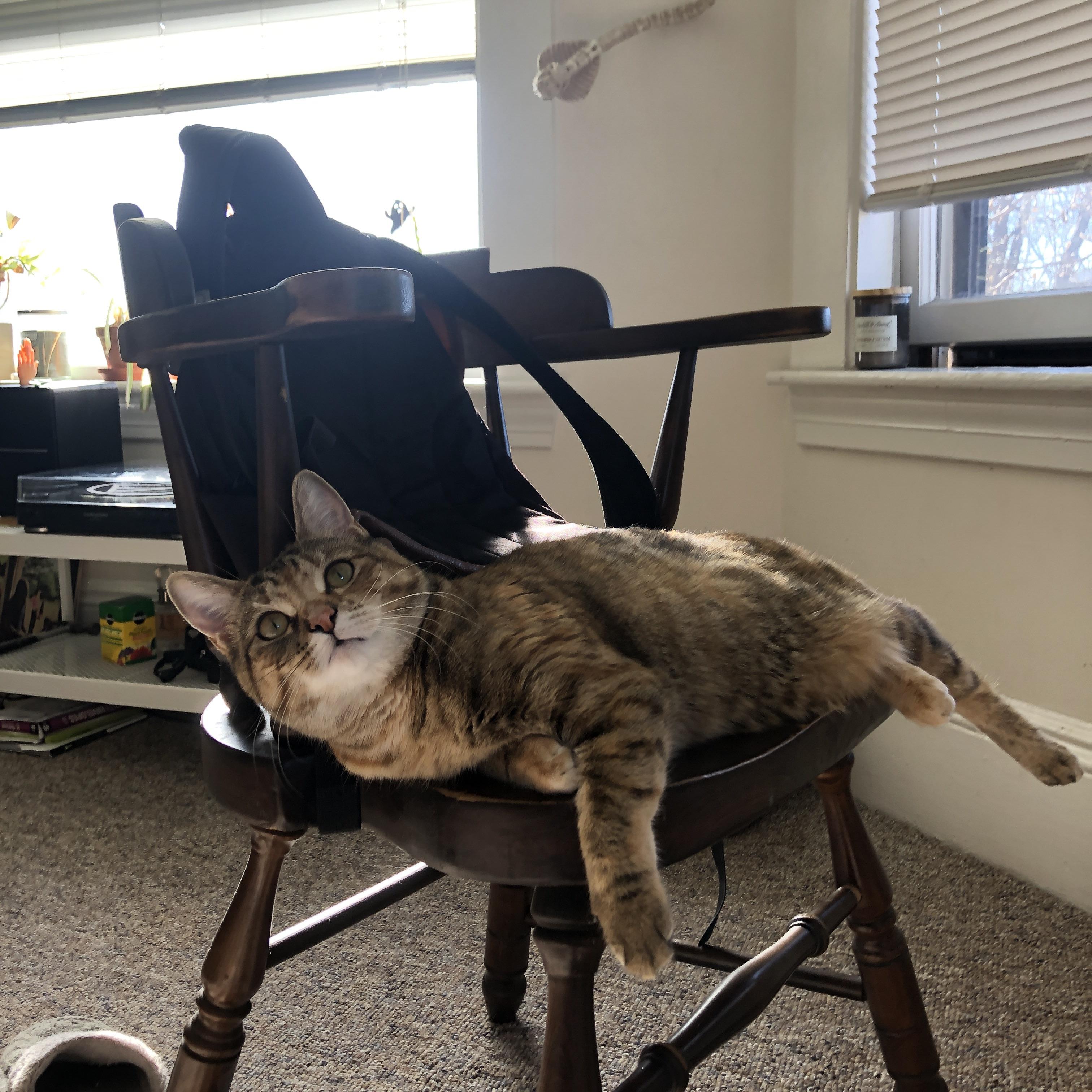 北境与安第斯之间，阿劳霍的三次破晓如何定义比赛