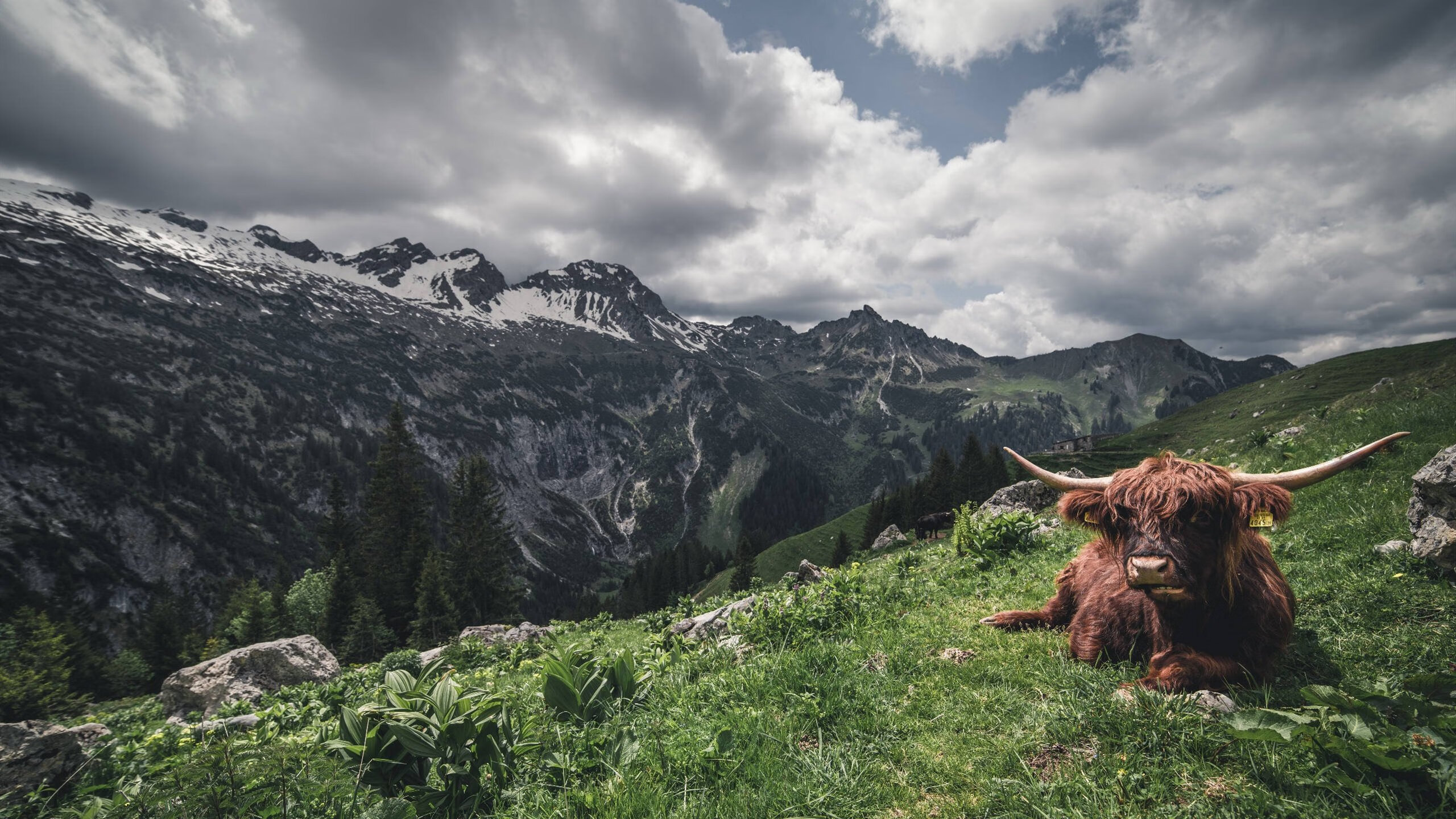 凌晨三点的统治