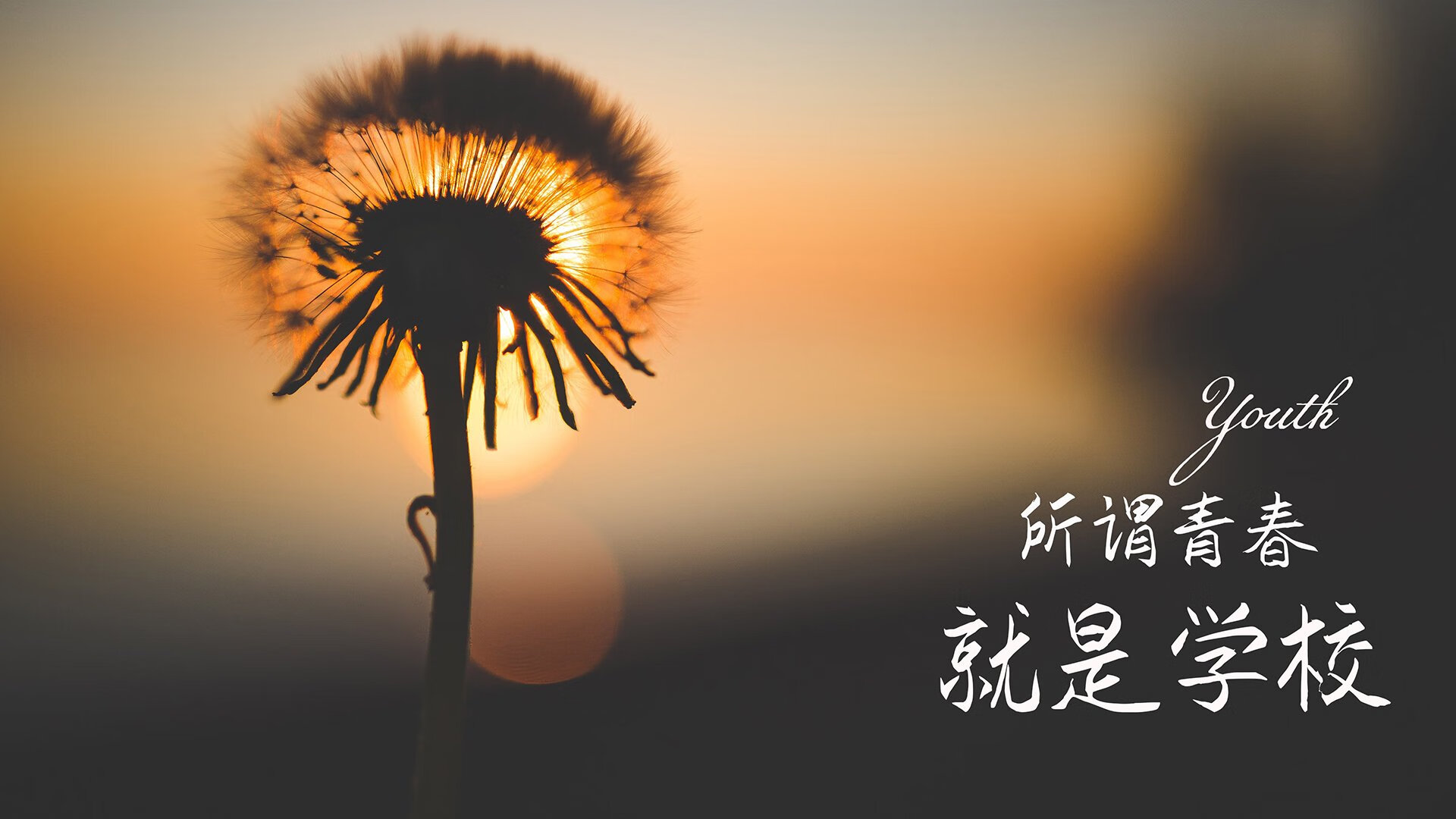 克瓦拉茨赫利亚独舞破局，沙特豪门碾压雷恩，一场预示亚洲足球新纪元的降维打击